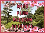 Simply Natto - Mito Plum Blossom Festival