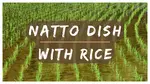 Natto Dish with Rice