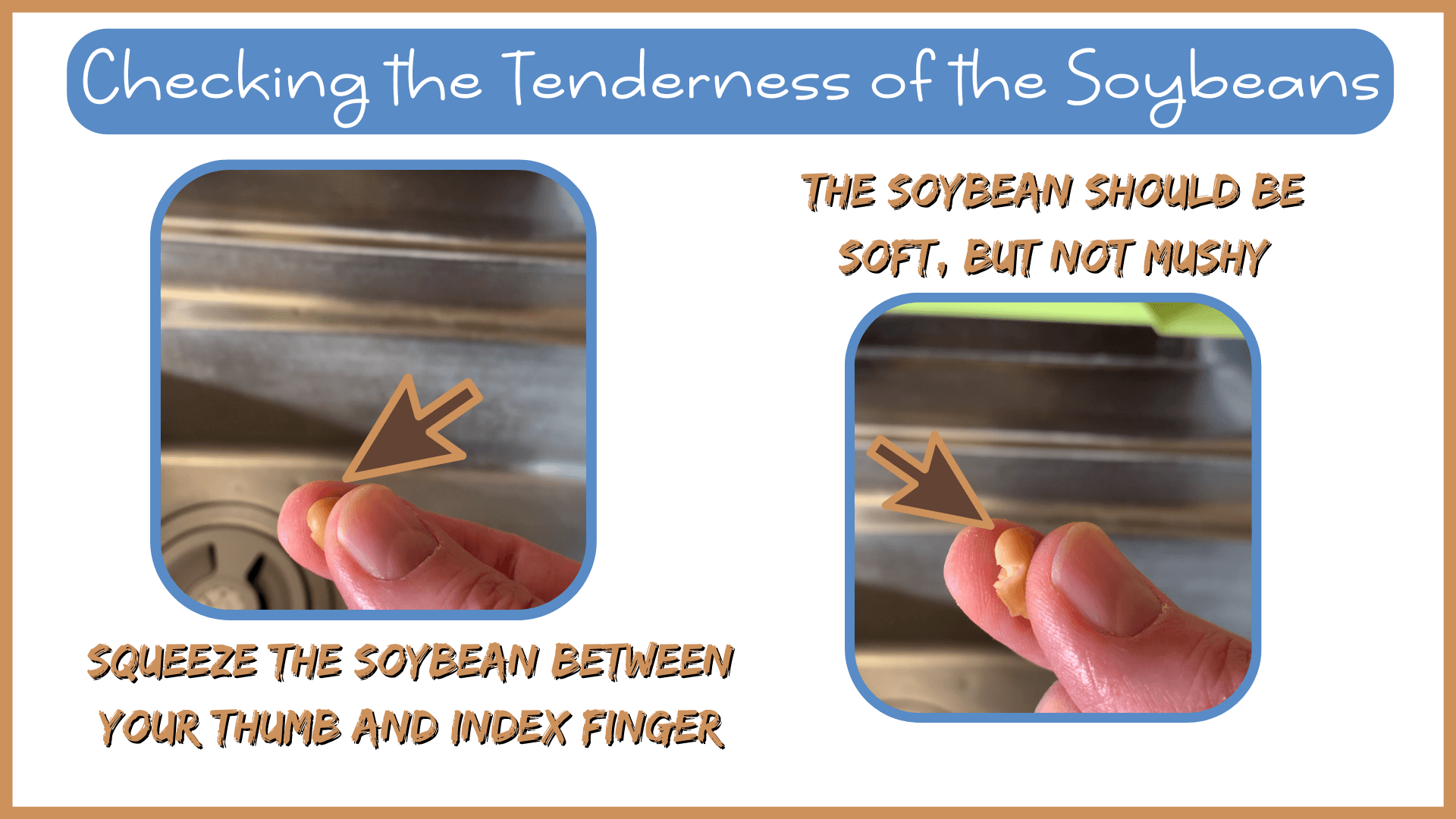 How To Make Natto:  Step Three - Checking the Tenderness of the Soybeans How To Make Natto:  Step Three - Checking the Tenderness of the Soybeans