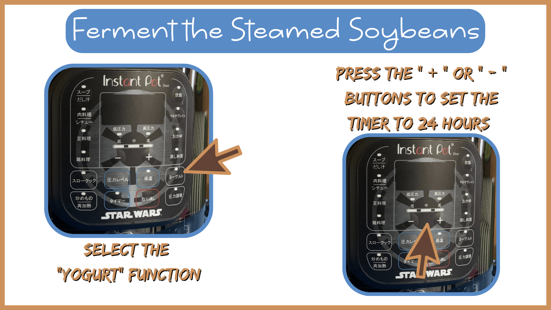 How To Make Natto:  Step Five - Ferment the Soybeans How To Make Natto:  Step Five - Ferment the Soybeans