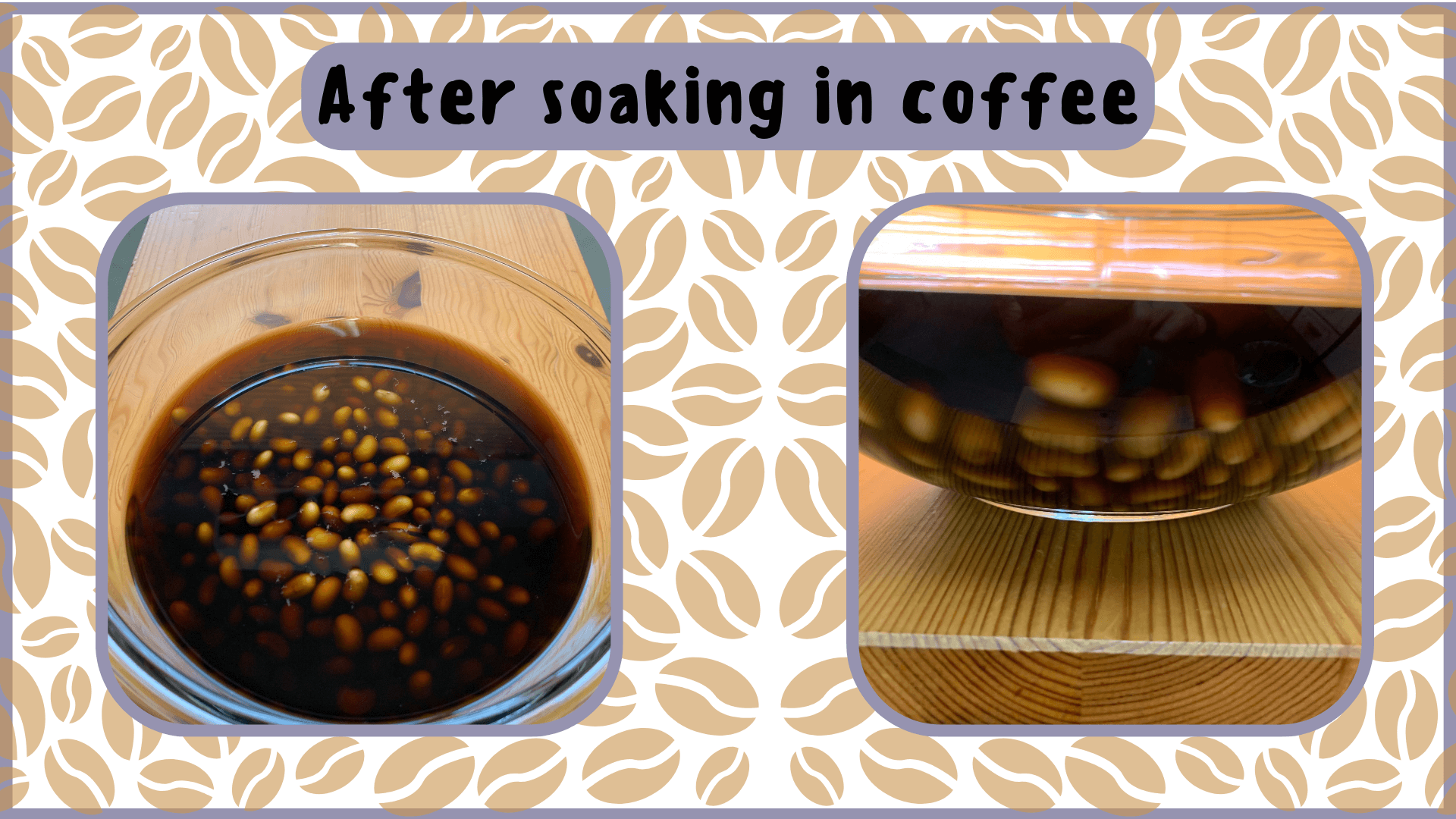 Simply Natto - How to Make Coffee Natto - After Soaking the Soybeans for 18-20 Hours in Cold Coffee - Step Three - Steam the Soybeans Simply Natto - How to Make Coffee Natto - After Soaking the Soybeans for 18-20 Hours in Cold Coffee - Step Three - Steam the Soybeans