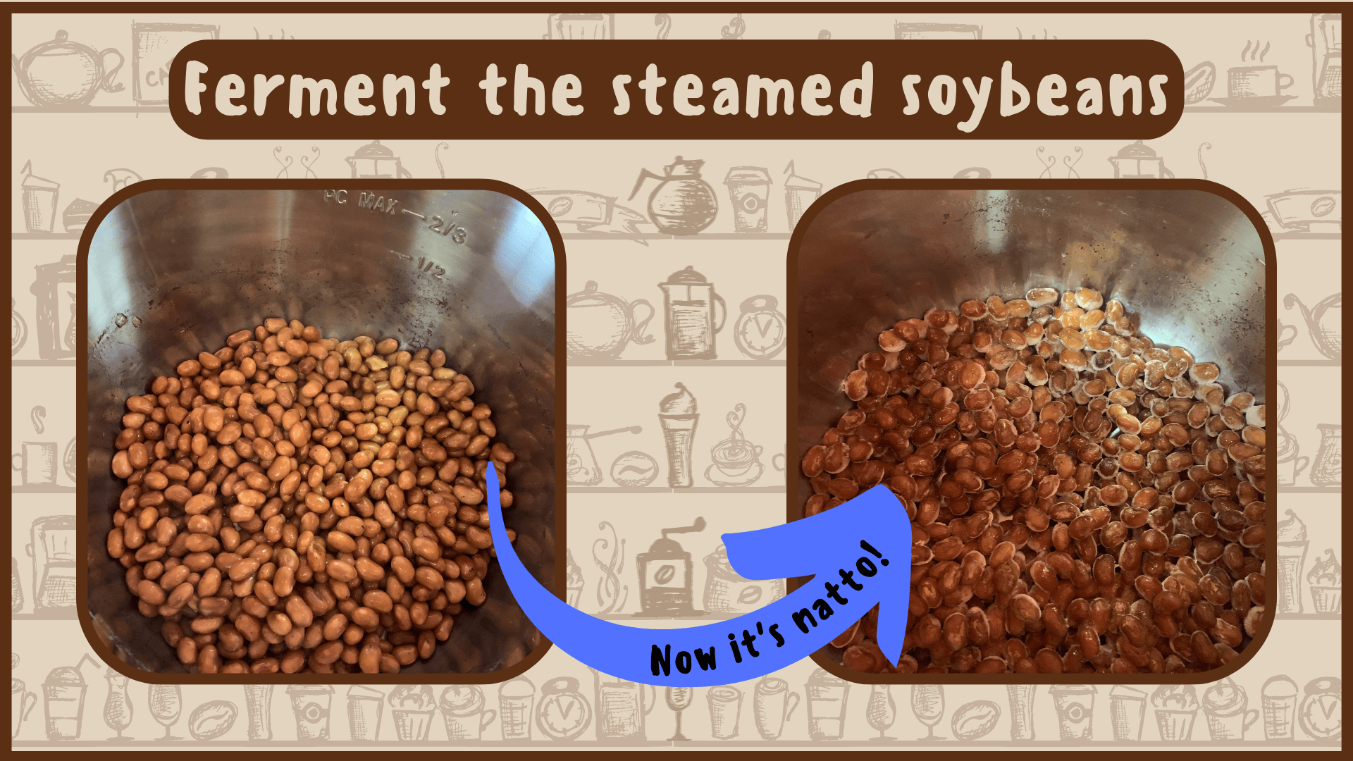 Simply Natto - How to Make Coffee Natto - Step Five - Ferment the Soybeans