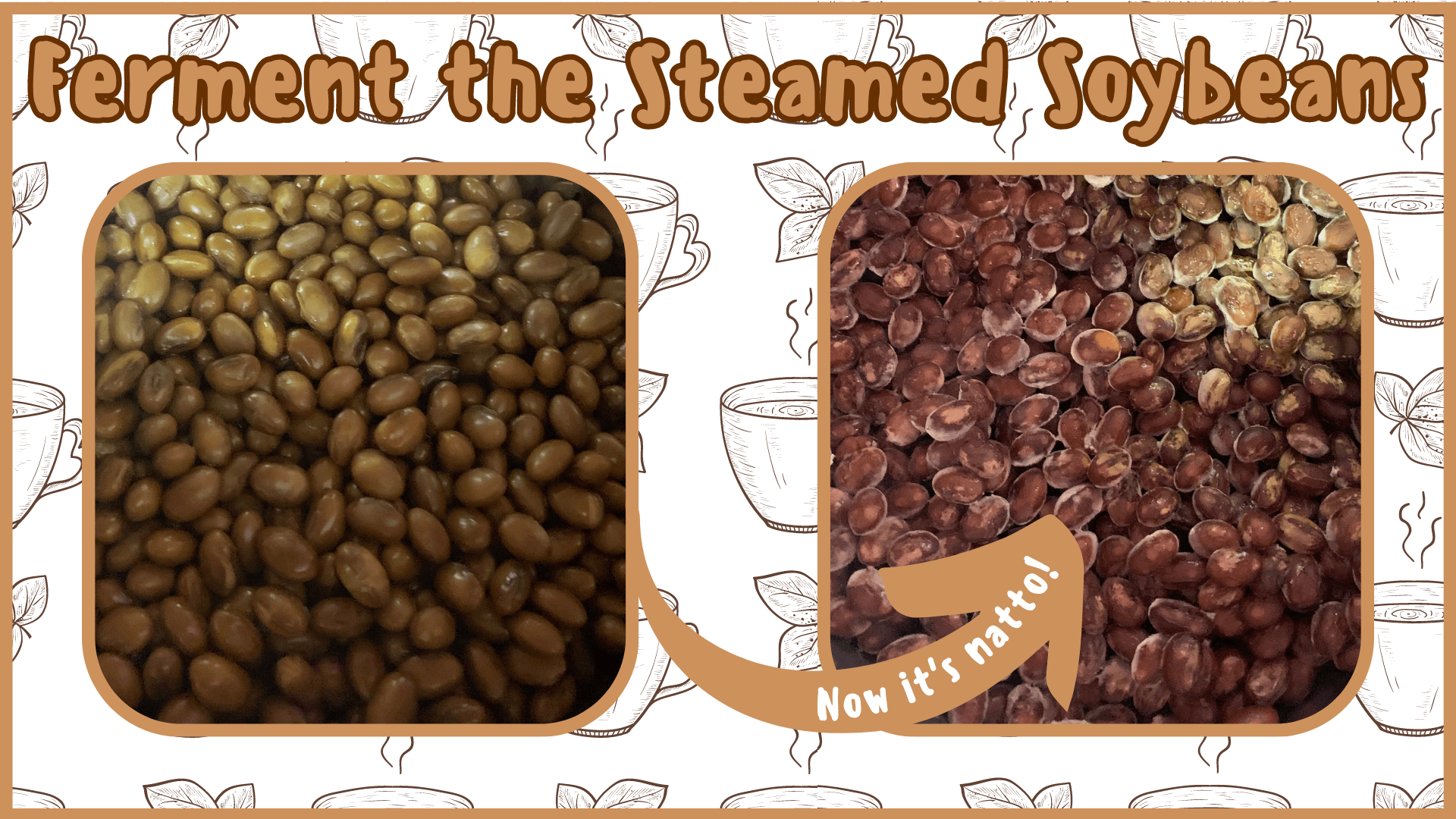 Simply Natto - How to Make Hojicha Natto - Step Five - Ferment the Soybeans