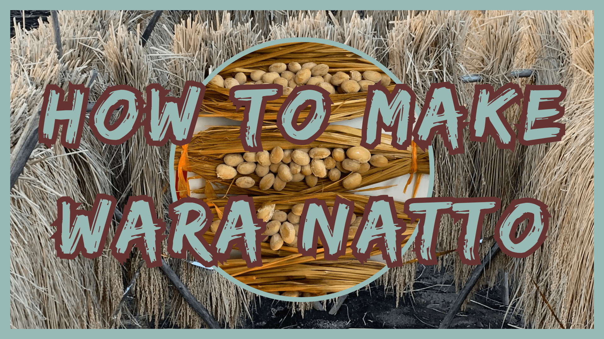 Simply Natto - How to Make Wara Natto