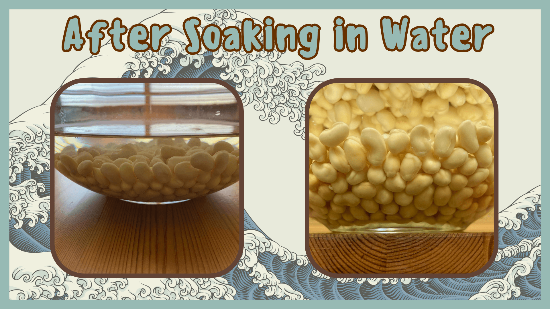 Simply Natto - How to Make Wara Natto - After Soaking the Soybeans for 18-20 Hours in Cold Water - Step Three - Steam the Soybeans