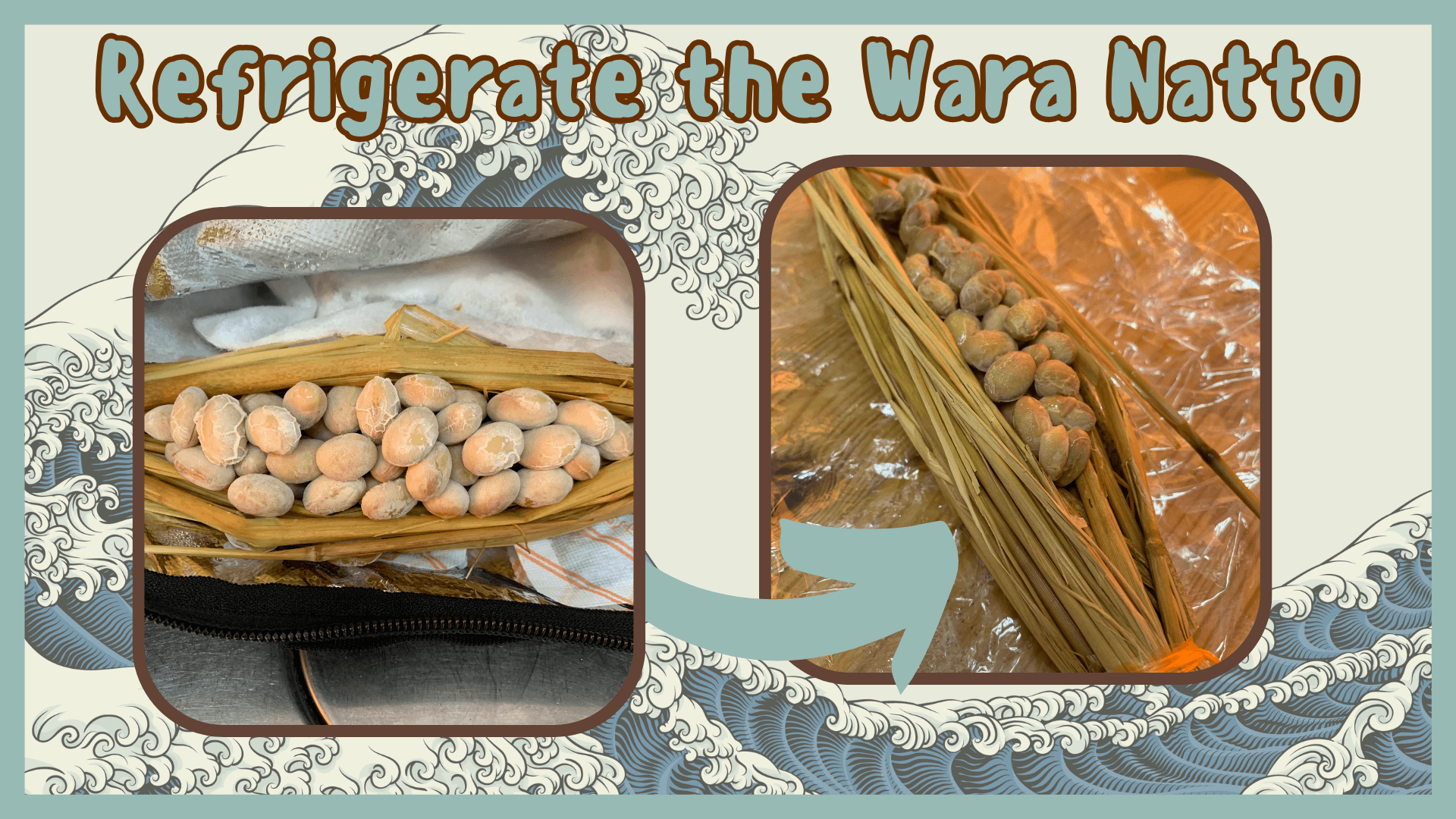 Simply Natto - How to Make Wara Natto - Step Six - Refrigerate the Wara Natto Simply Natto - How to Make Wara Natto - Step Six - Refrigerate the Wara Natto