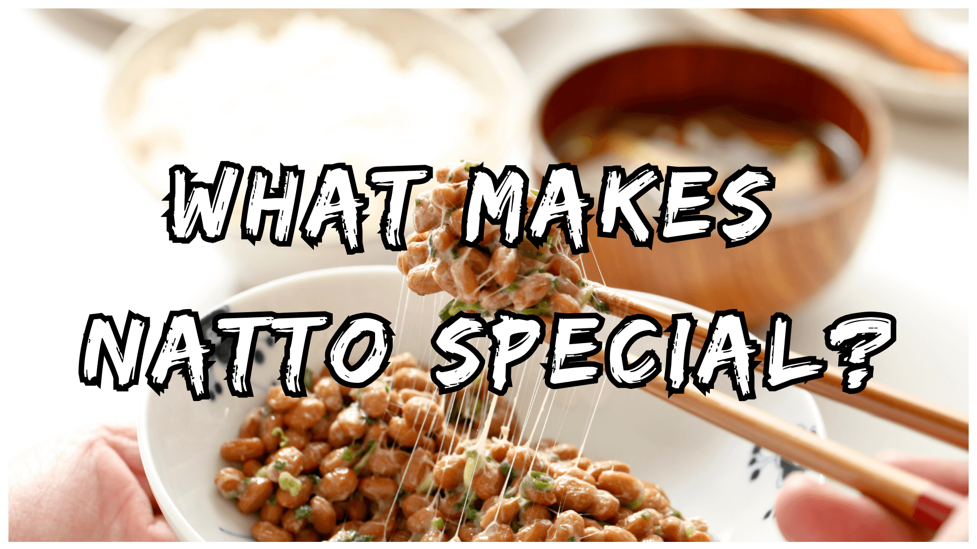 Simply Natto - What Makes Natto Special?