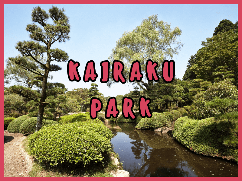 Simply Natto - Mito Plum Blossom Festival - The Crown Jewel of the Festival - Kairaku Park (Kairakuen Garden)
