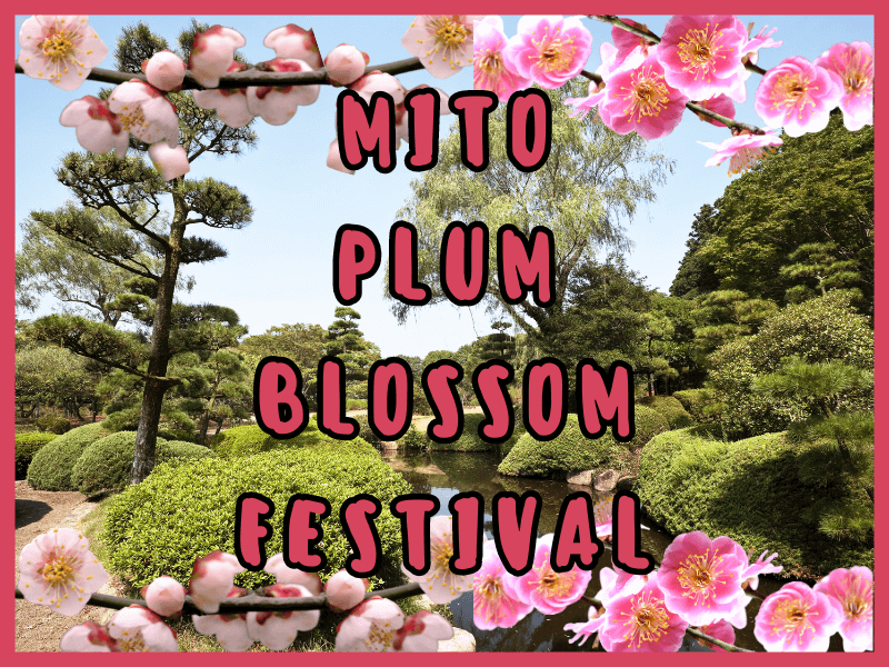 Simply Natto - Mito Plum Blossom Festival