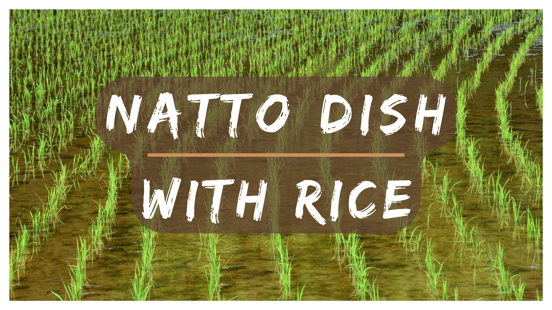 Natto Dish with Rice