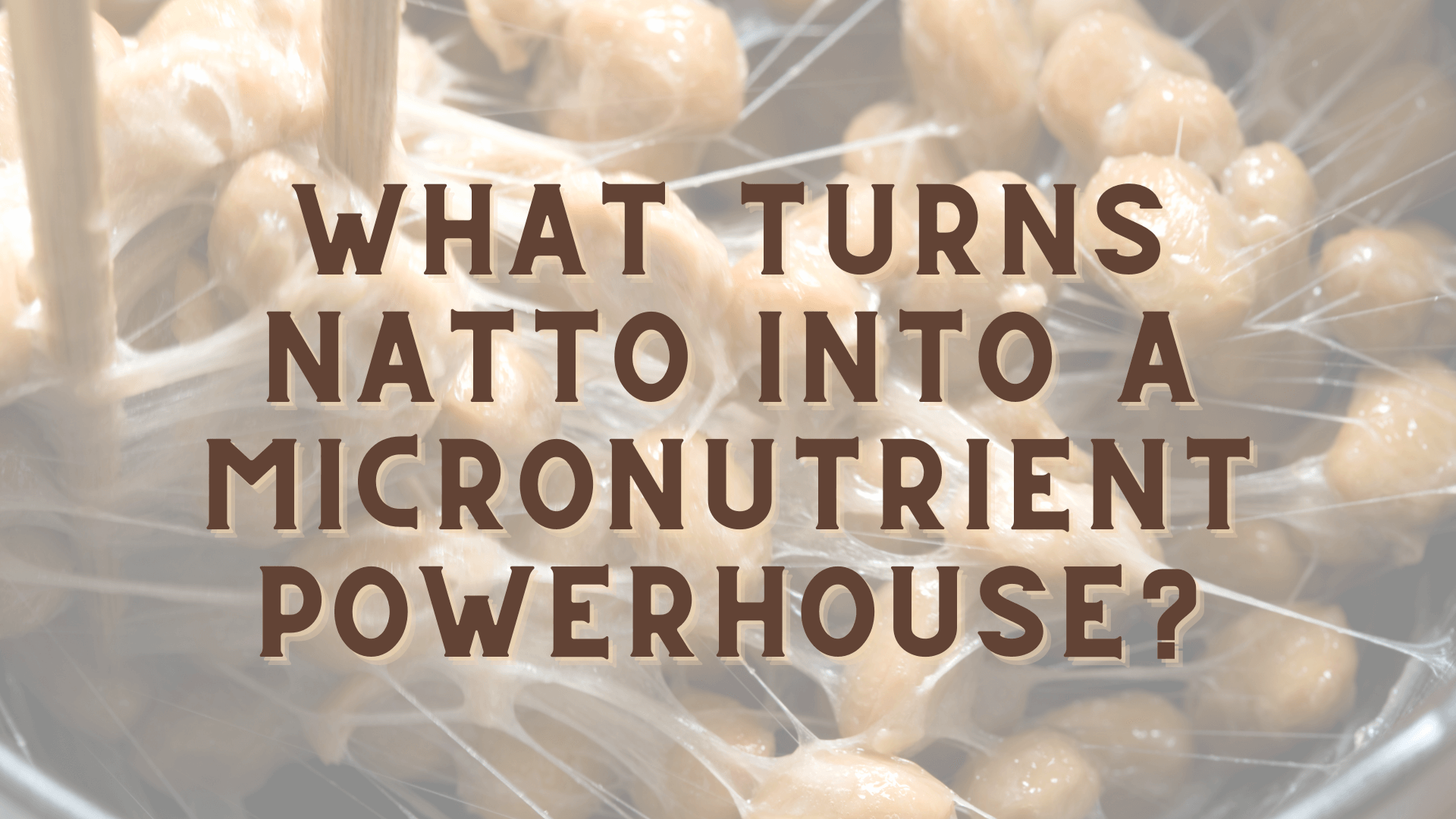 What turns natto into a micronutrient powerhouse?