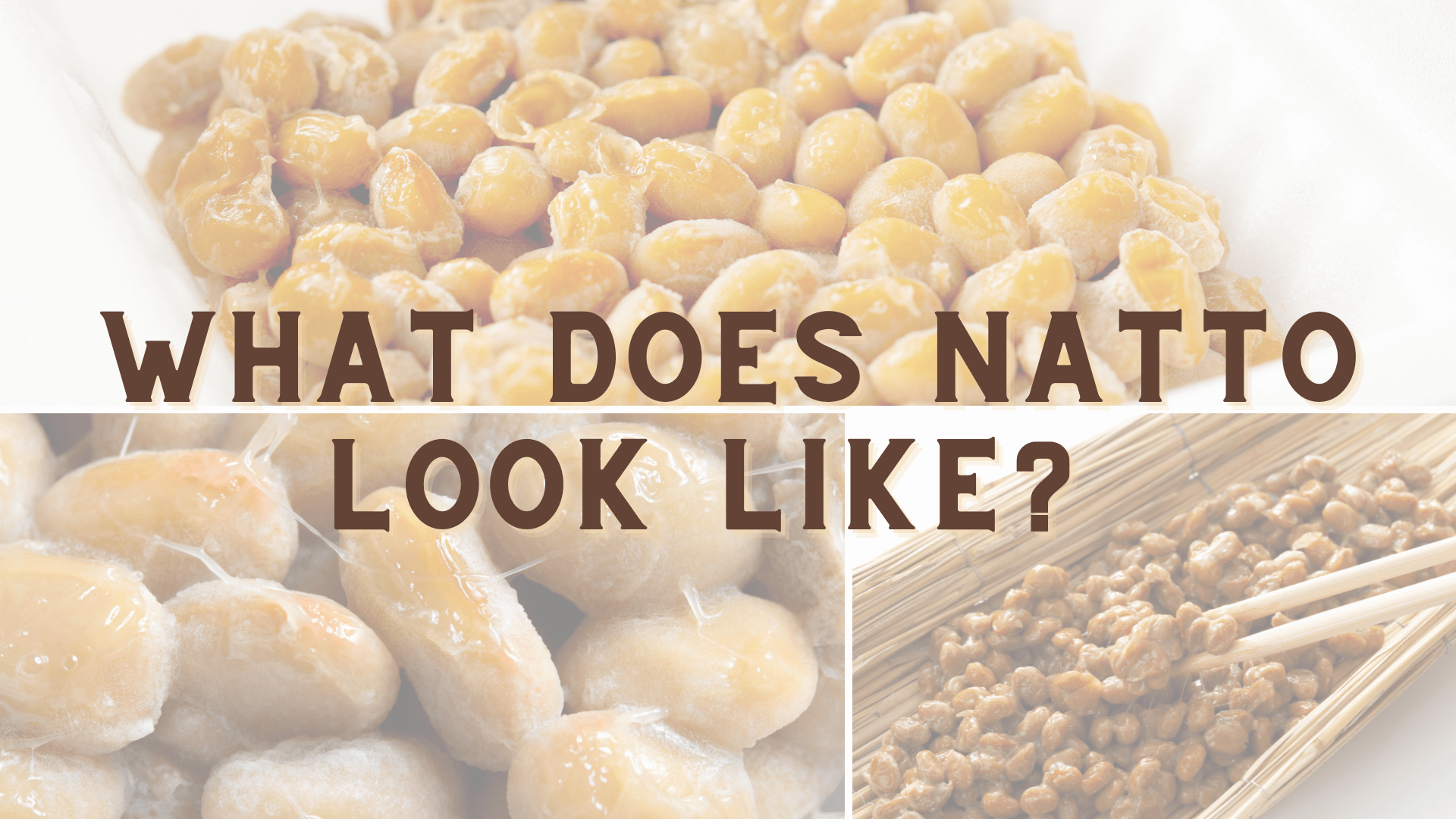 What does natto look like?